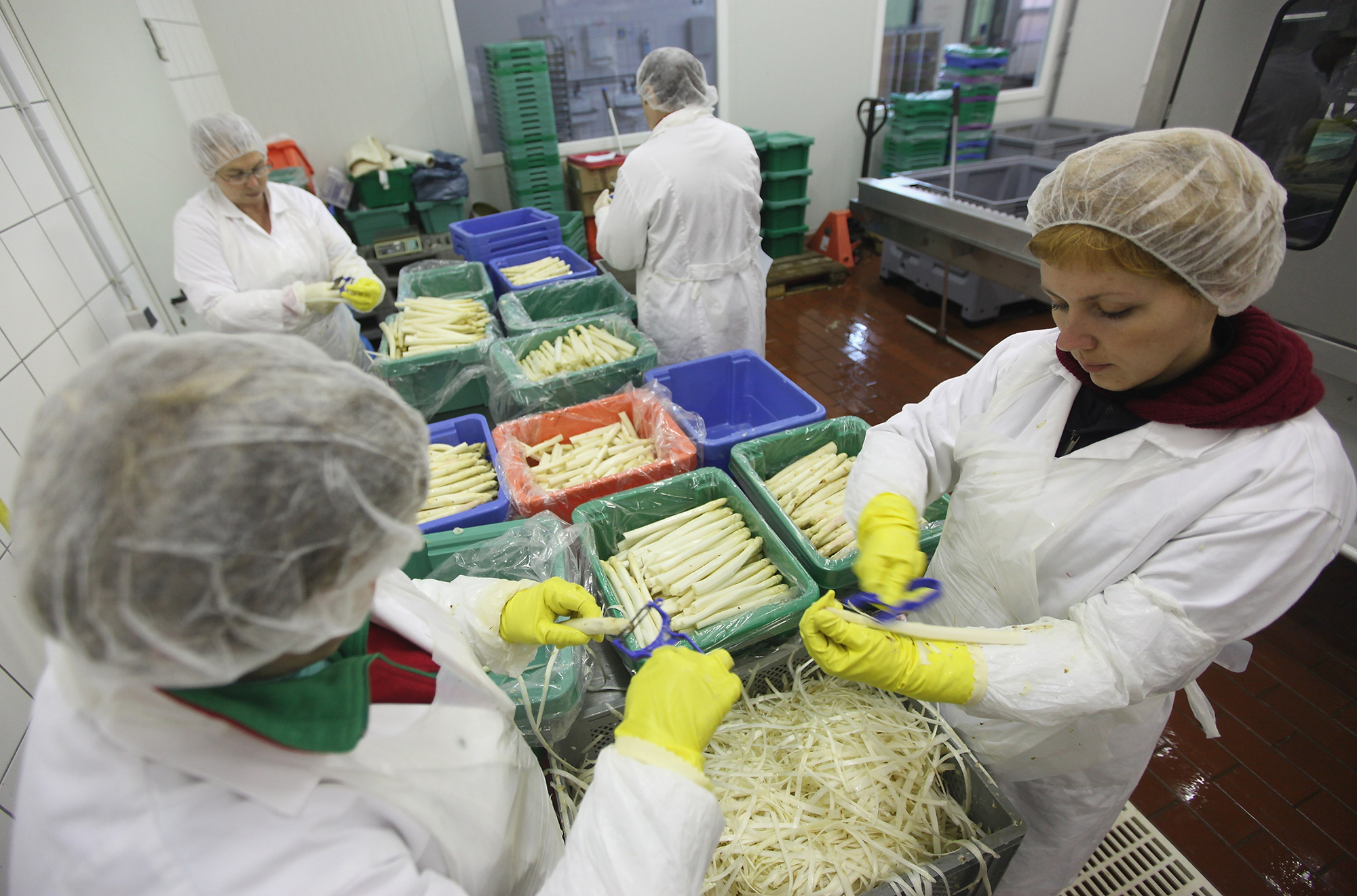 Работа в Польше: на какие вакансии ищут украинцев и сколько готовы платить